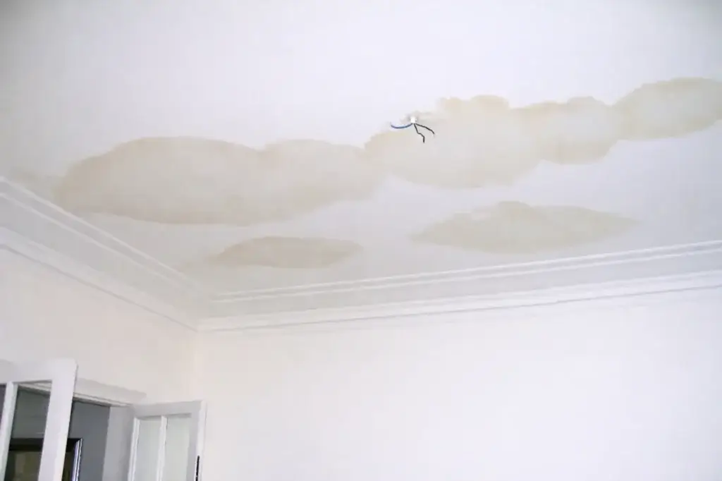 infiltração no teto Porto quem paga